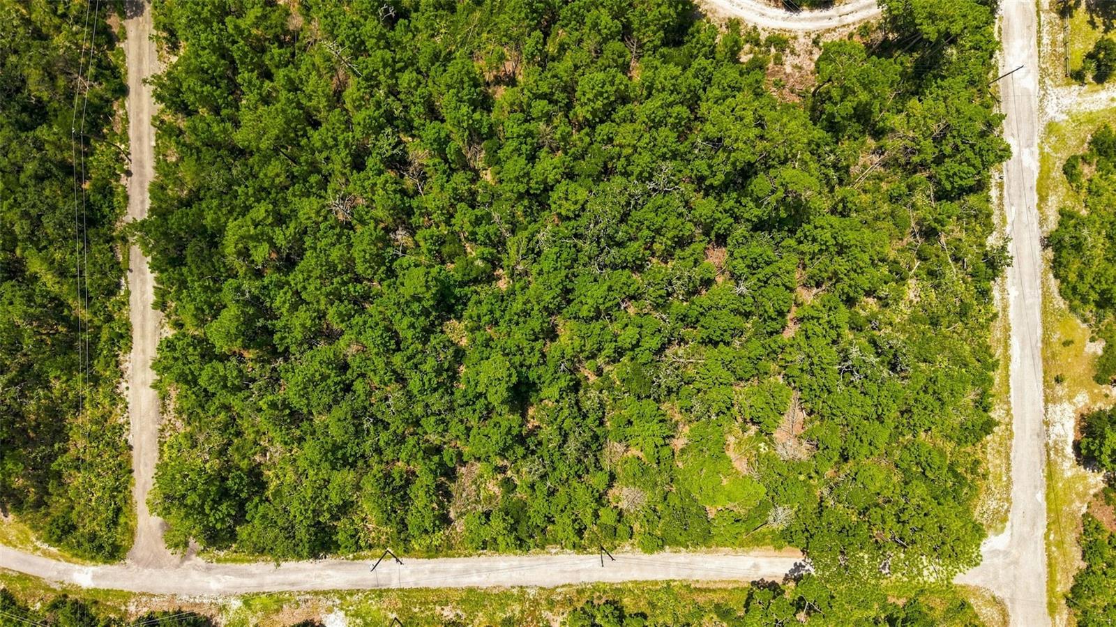 0 LANIER (LOT 1) AVE