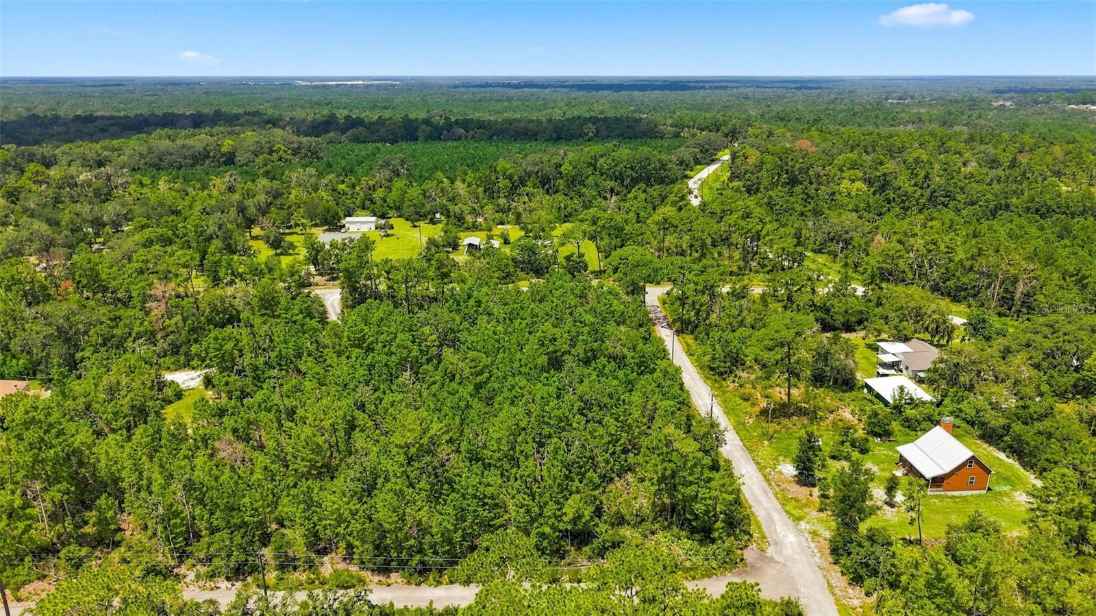 0 LANIER (LOT 1) AVE