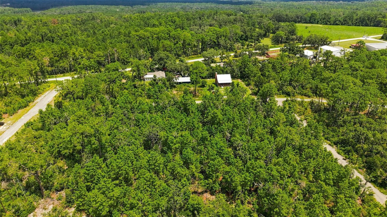 0 LANIER (LOT 1) AVE