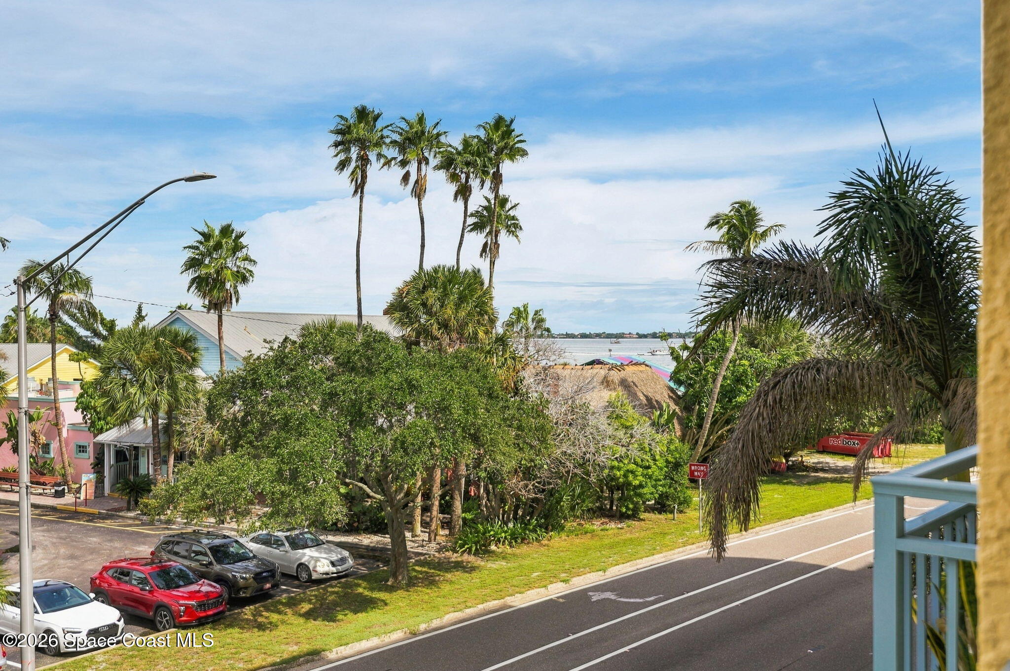 Waterfront view with palm trees, nearby homes, and a road.