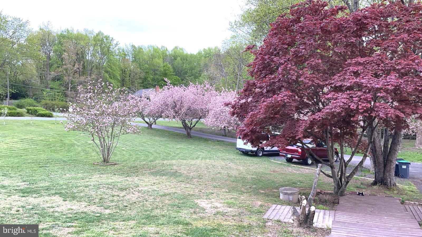 1 Quail Run Dr