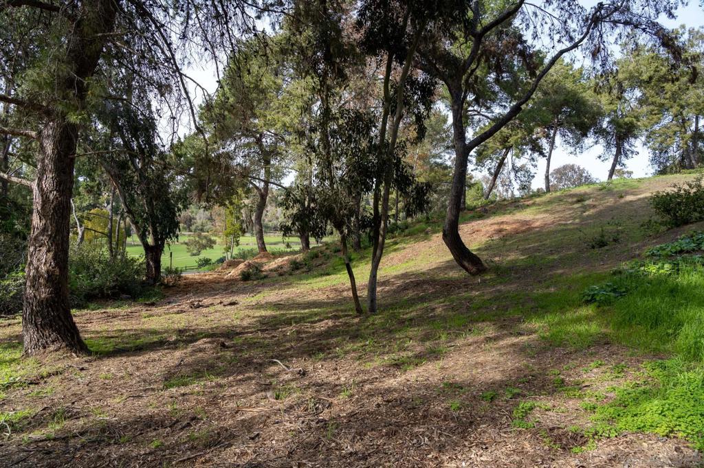 5309 La Granada