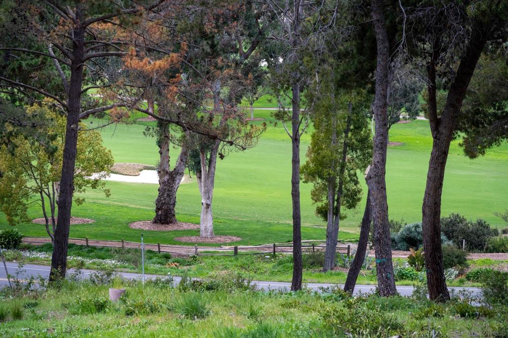 5309 La Granada