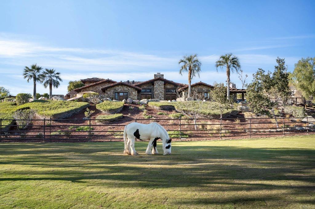 3113 Camino Del Rancho