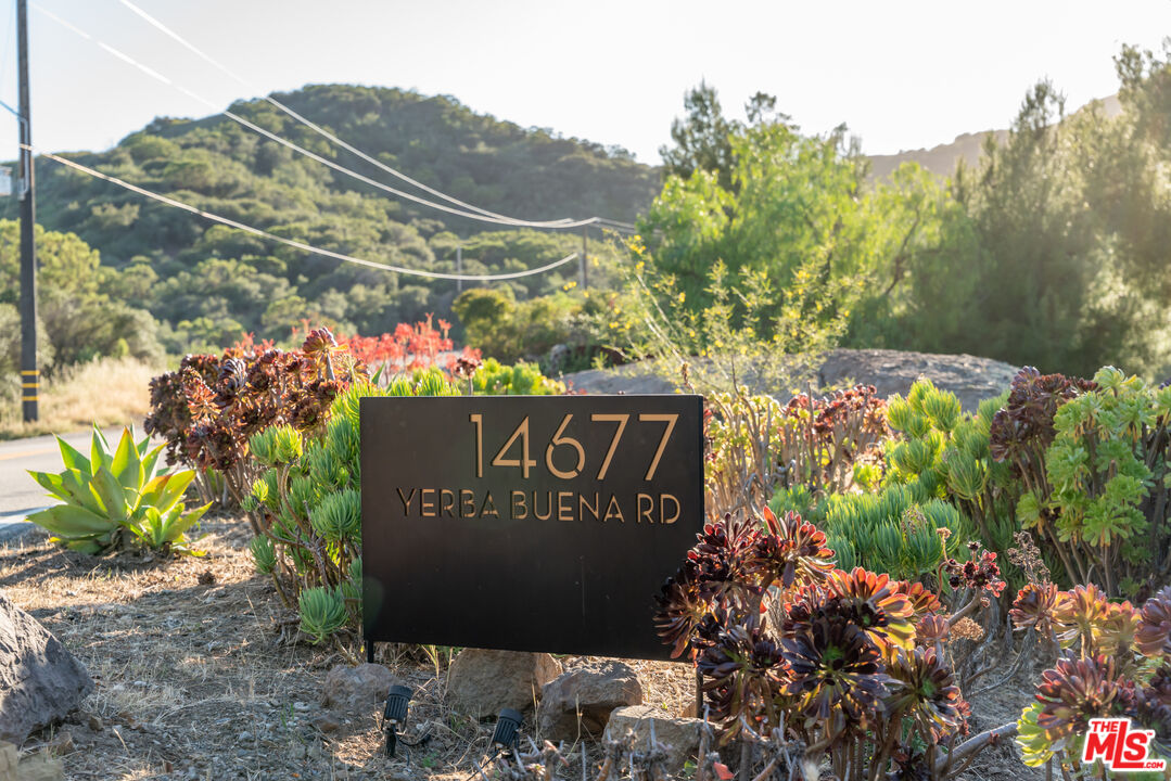 14677 Yerba Buena Rd