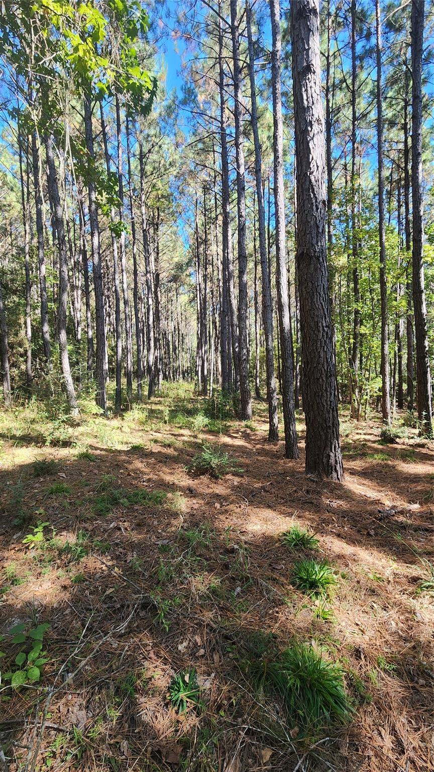 Lot 228 Ranches At Lone Star Ridge