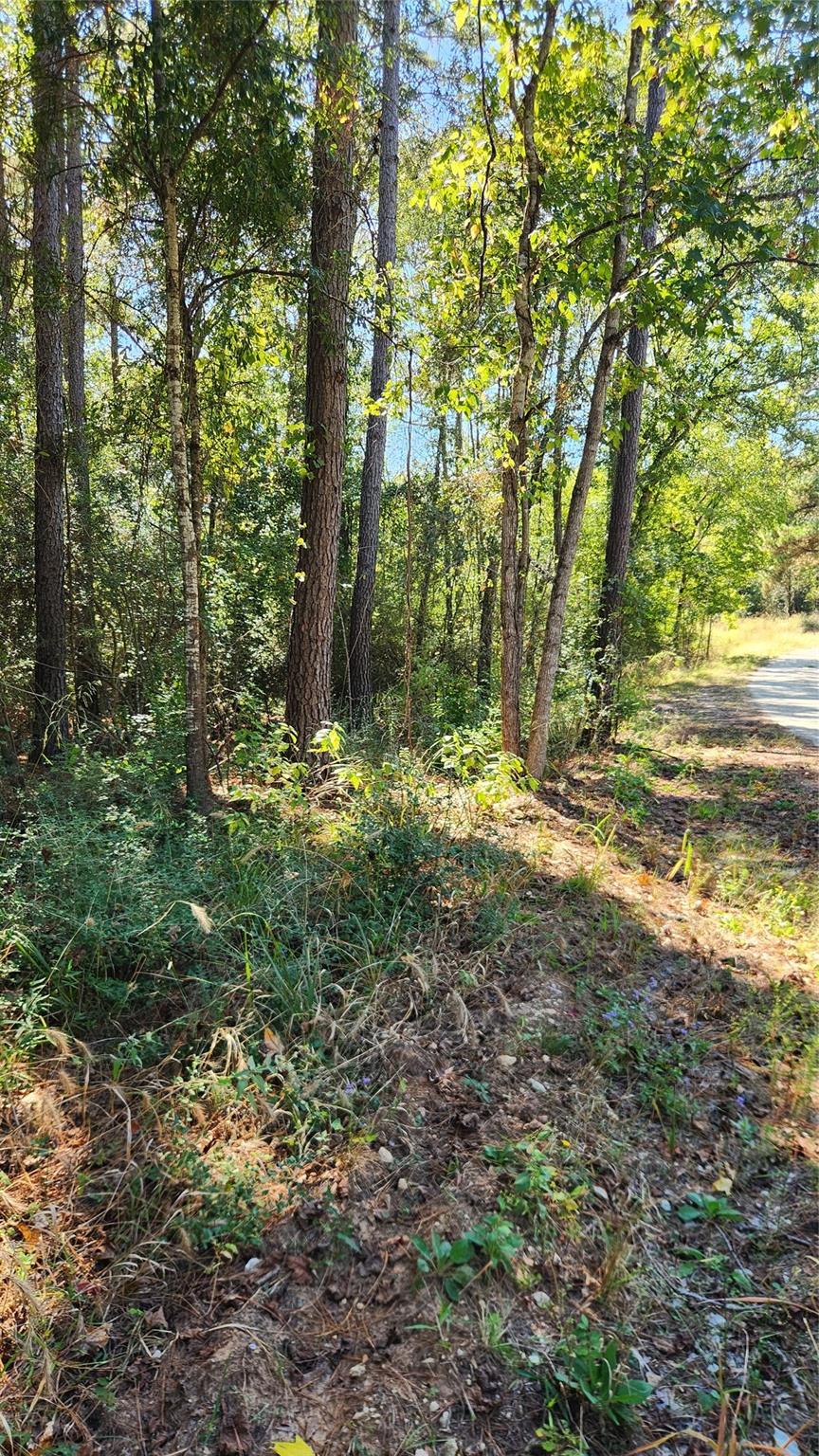 Lot 228 Ranches At Lone Star Ridge