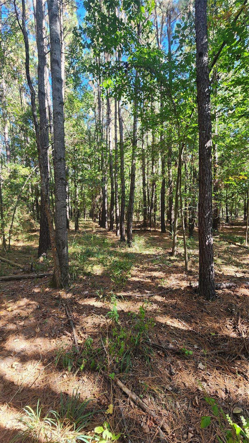 Lot 228 Ranches At Lone Star Ridge