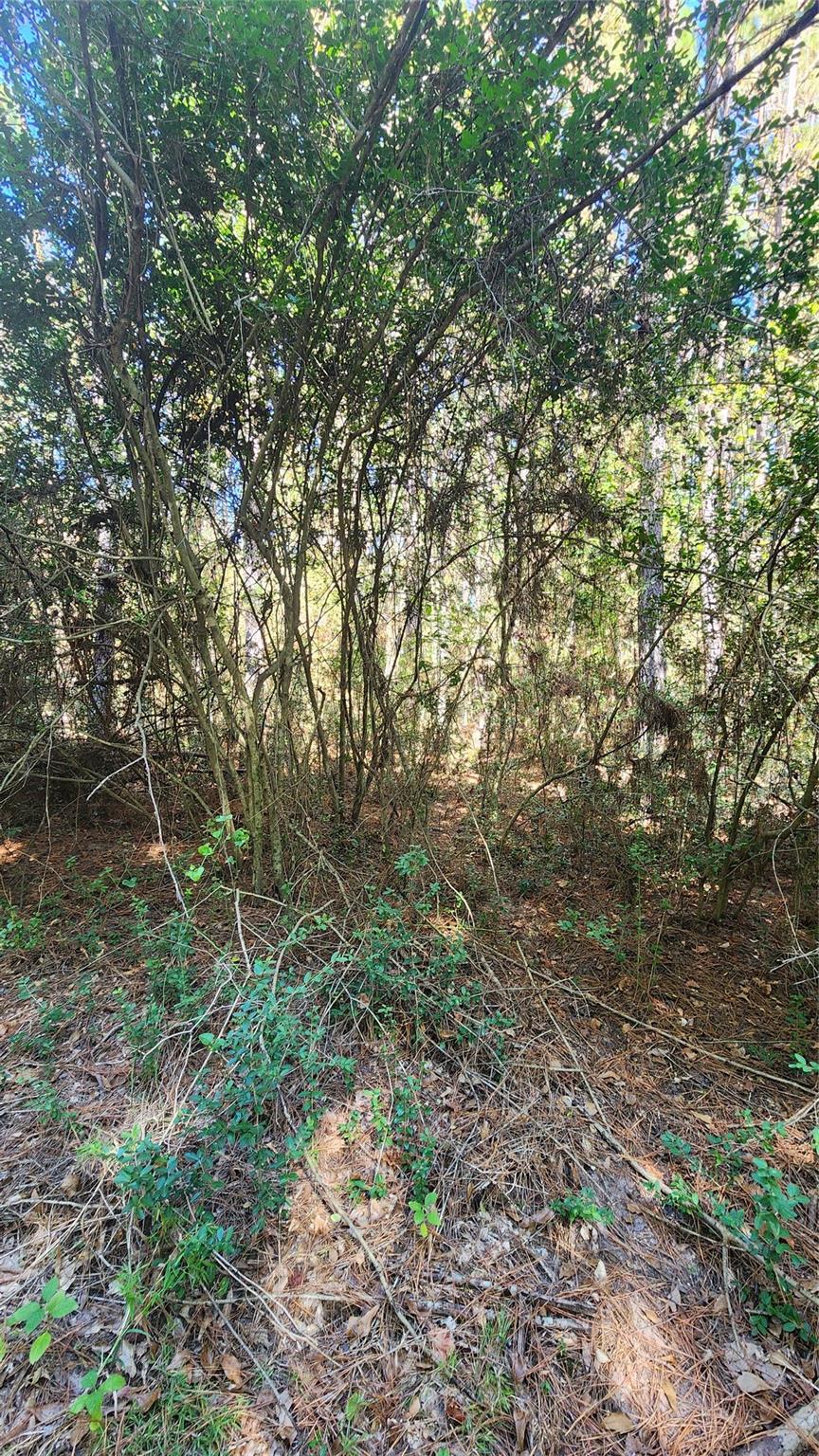 Lot 228 Ranches At Lone Star Ridge