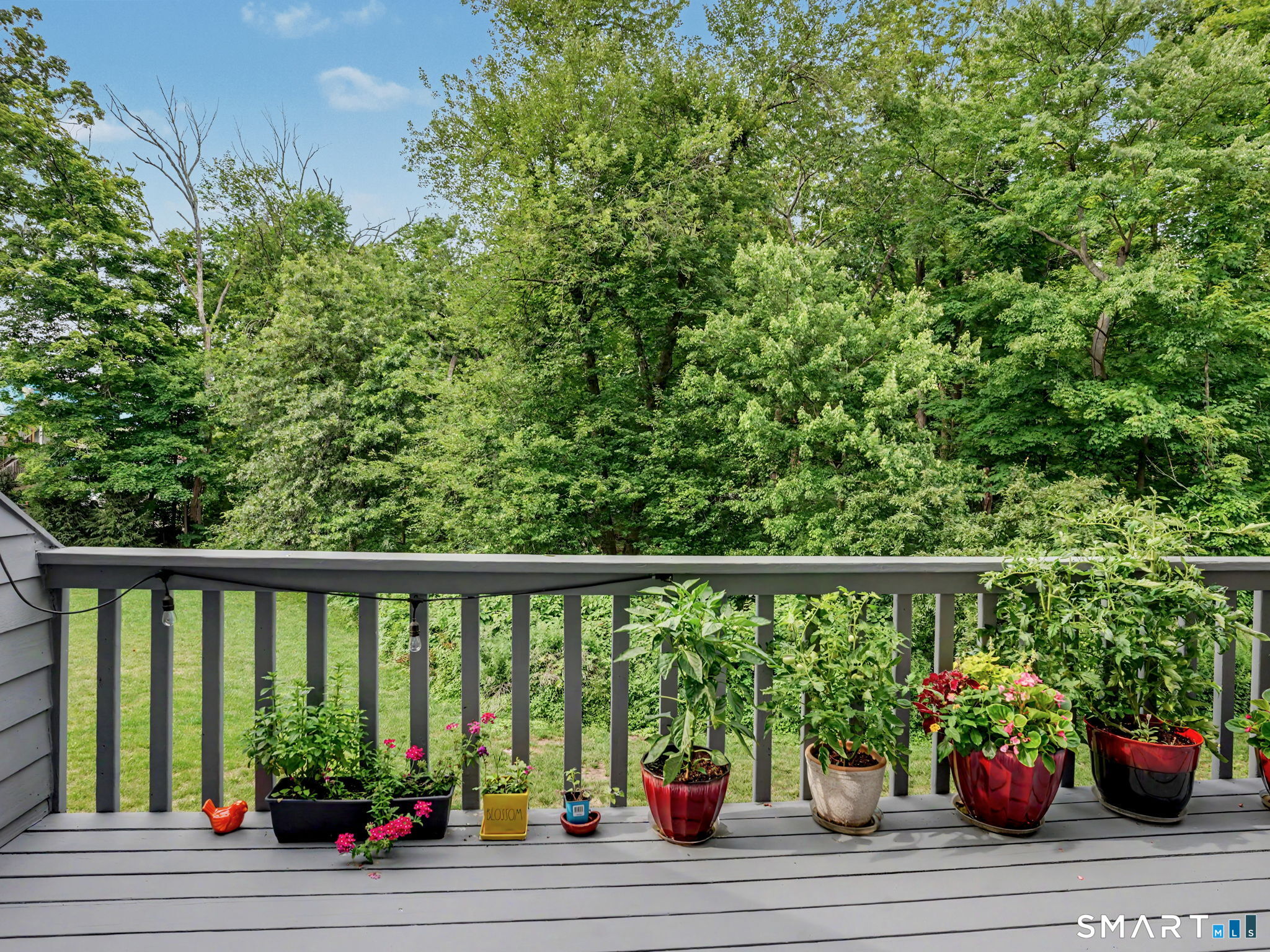 4 Fawn Ridge Lane Unit: 4