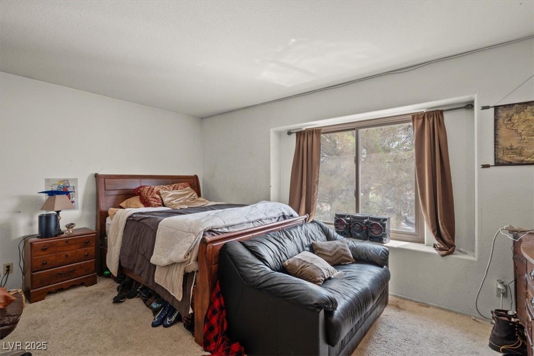 399 Placer Creek Lane