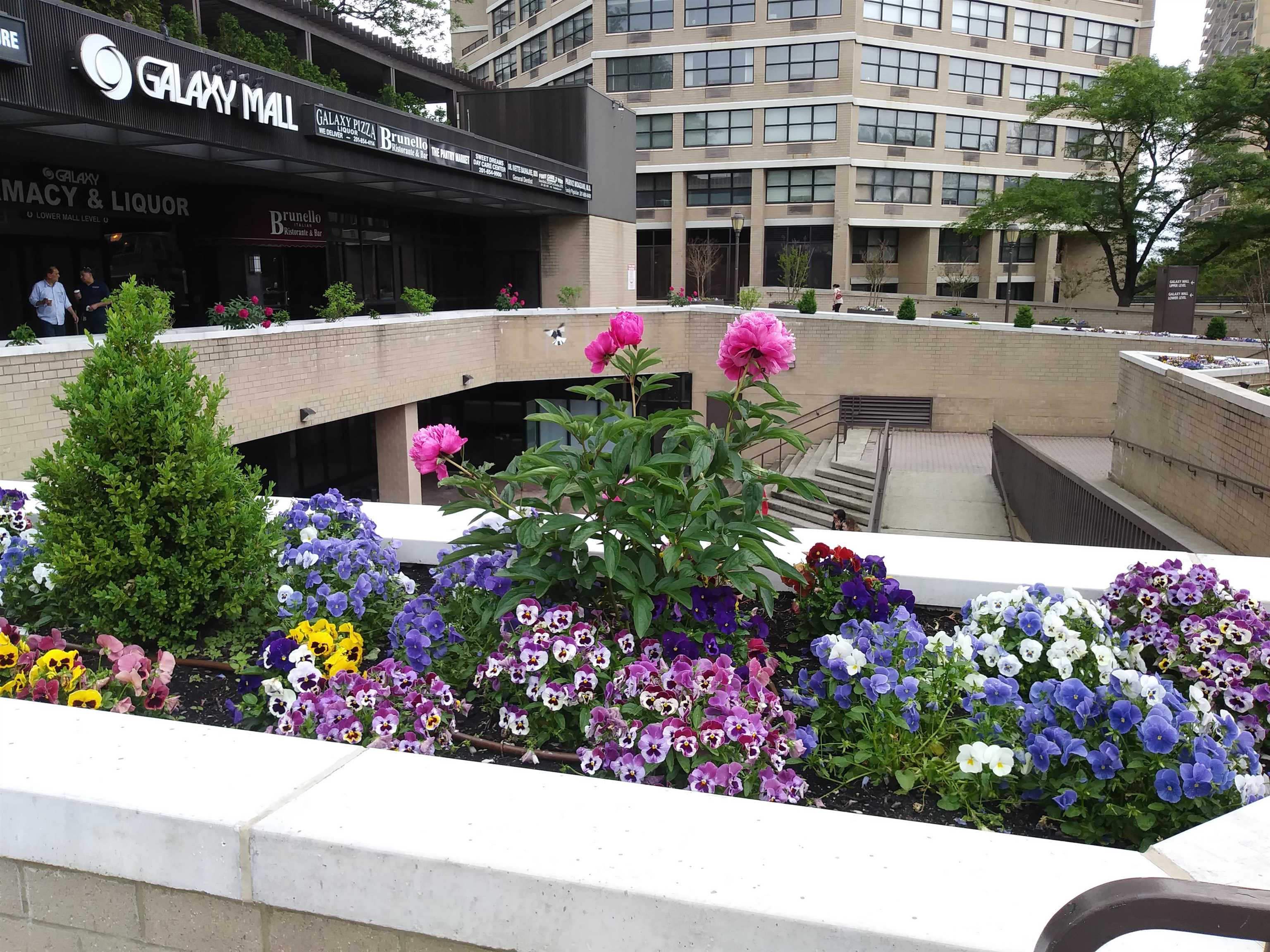 7002 BLVD EAST Unit: 6H