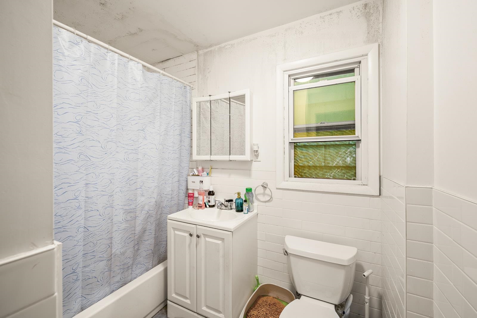 246 SIP AVE Unit: 1F