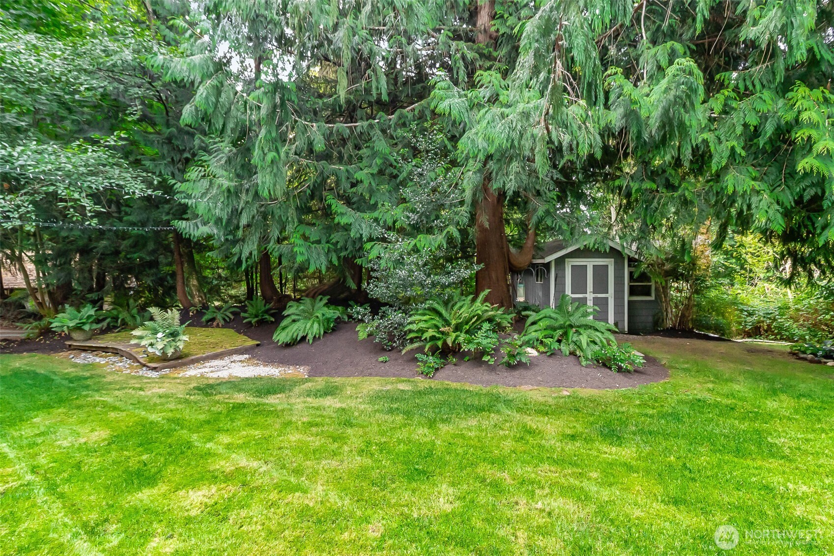 Landscaped backyard with a green lawn, mature evergreens, ferns, and a tucked-away gray garden shed.