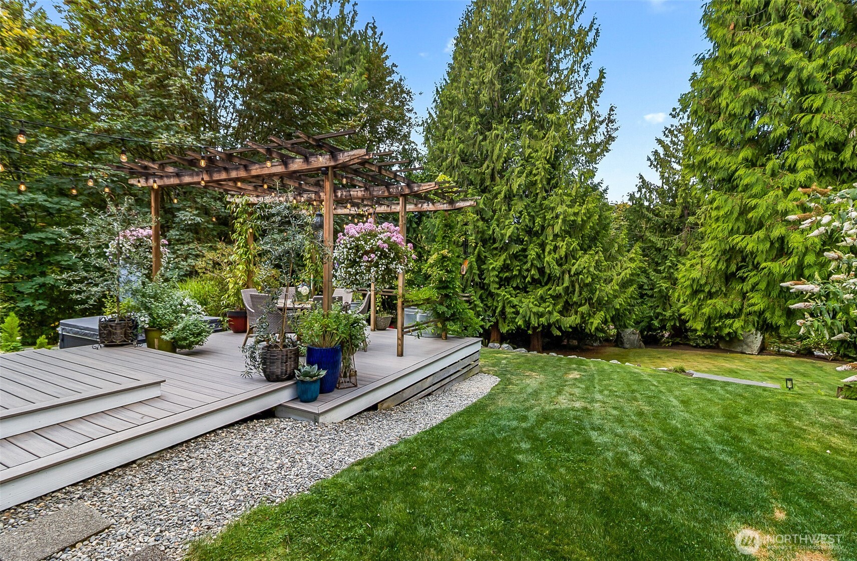 Backyard deck with a wooden pergola, flowering plants, and a lawn bordered by evergreens.