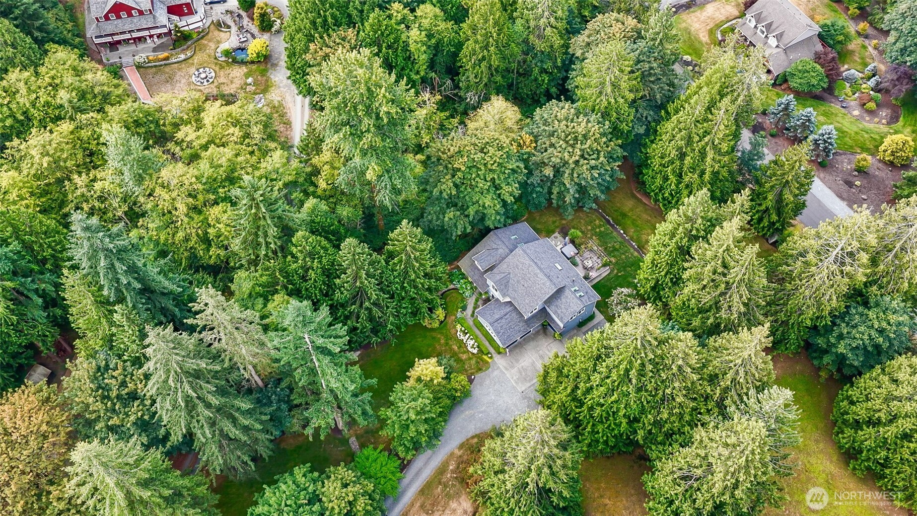 Aerial view of a gray-roofed home amid dense trees, lawn, and a winding driveway.