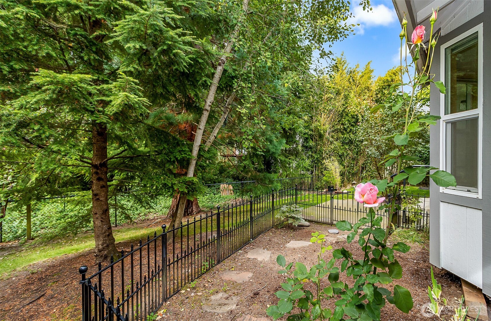 Backyard garden with a black metal fence, stepping-stone path, mature trees, and pink roses.