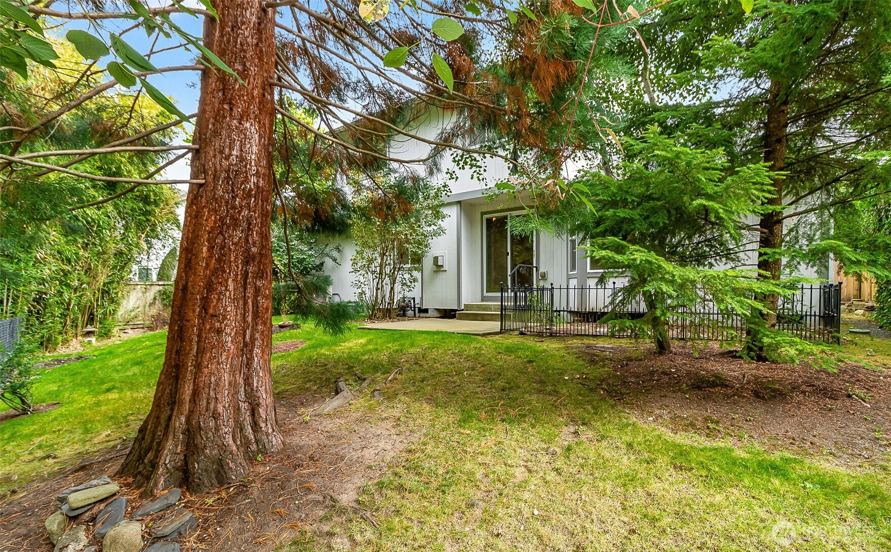 Light-colored house partly screened by mature trees, with a grassy yard and fenced patio.