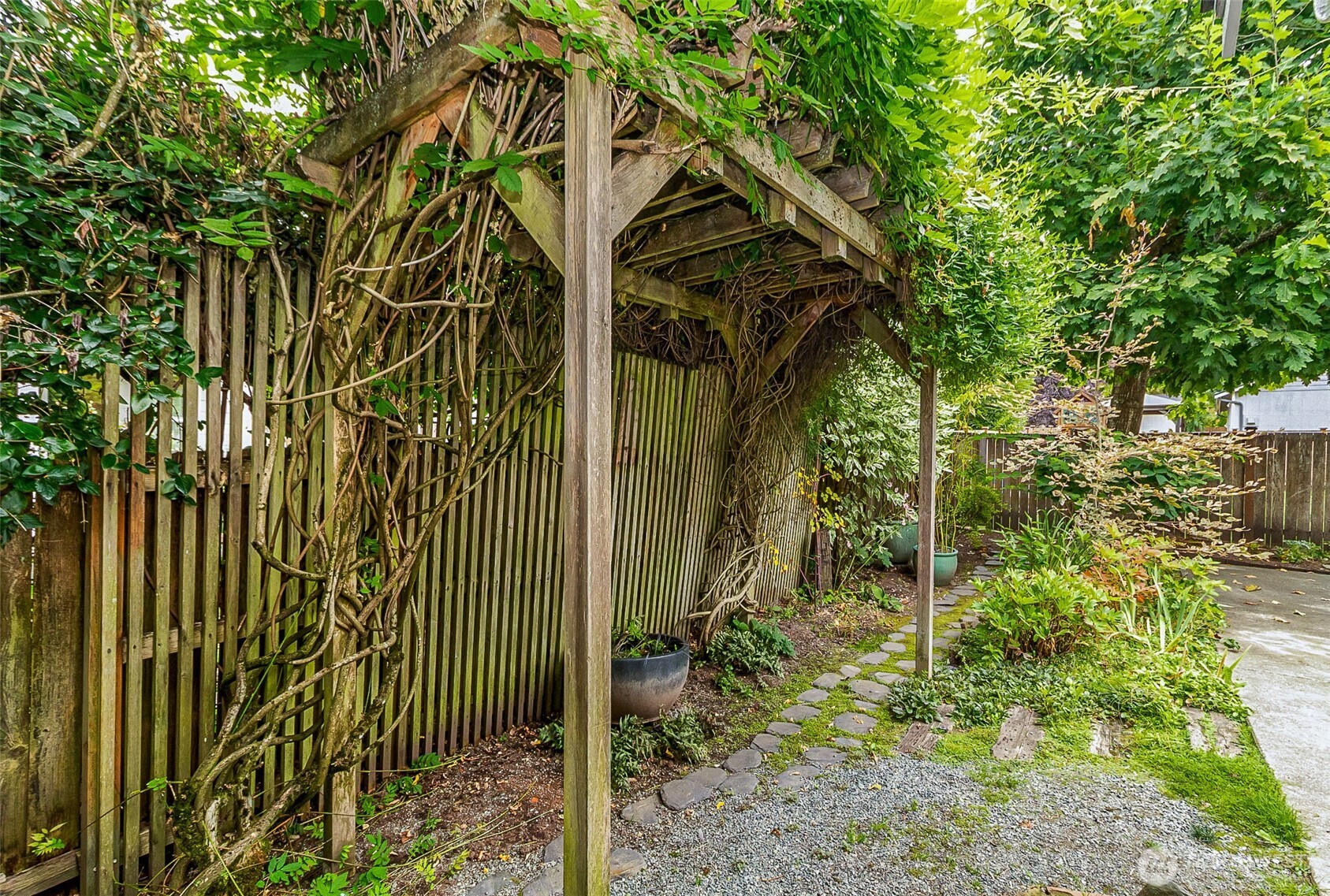 Vine-covered wooden pergola over a stone path in a lush backyard garden.