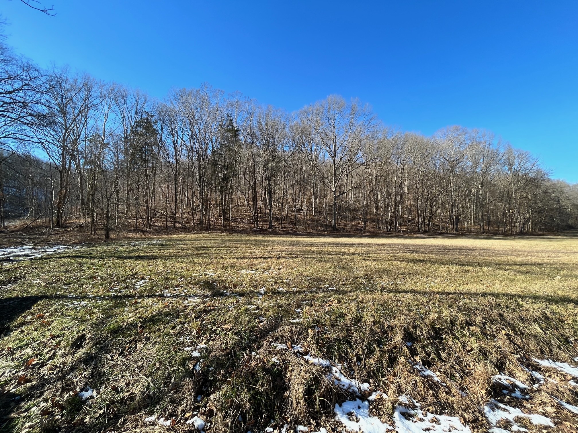 0 Wolf Hill Rd