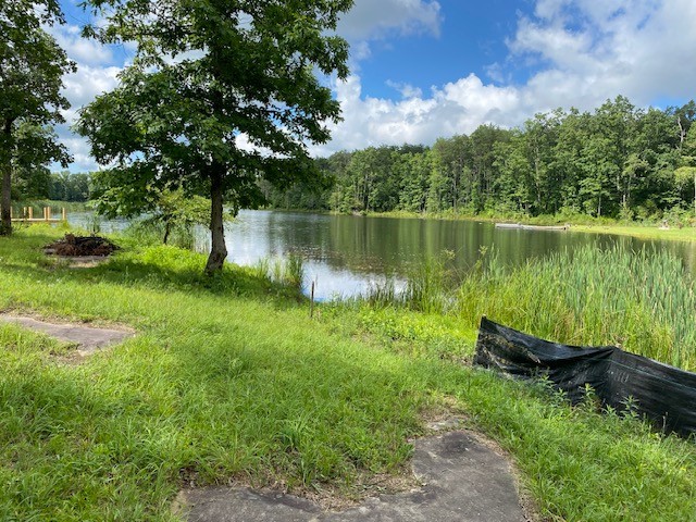 31 Lillypad Ln