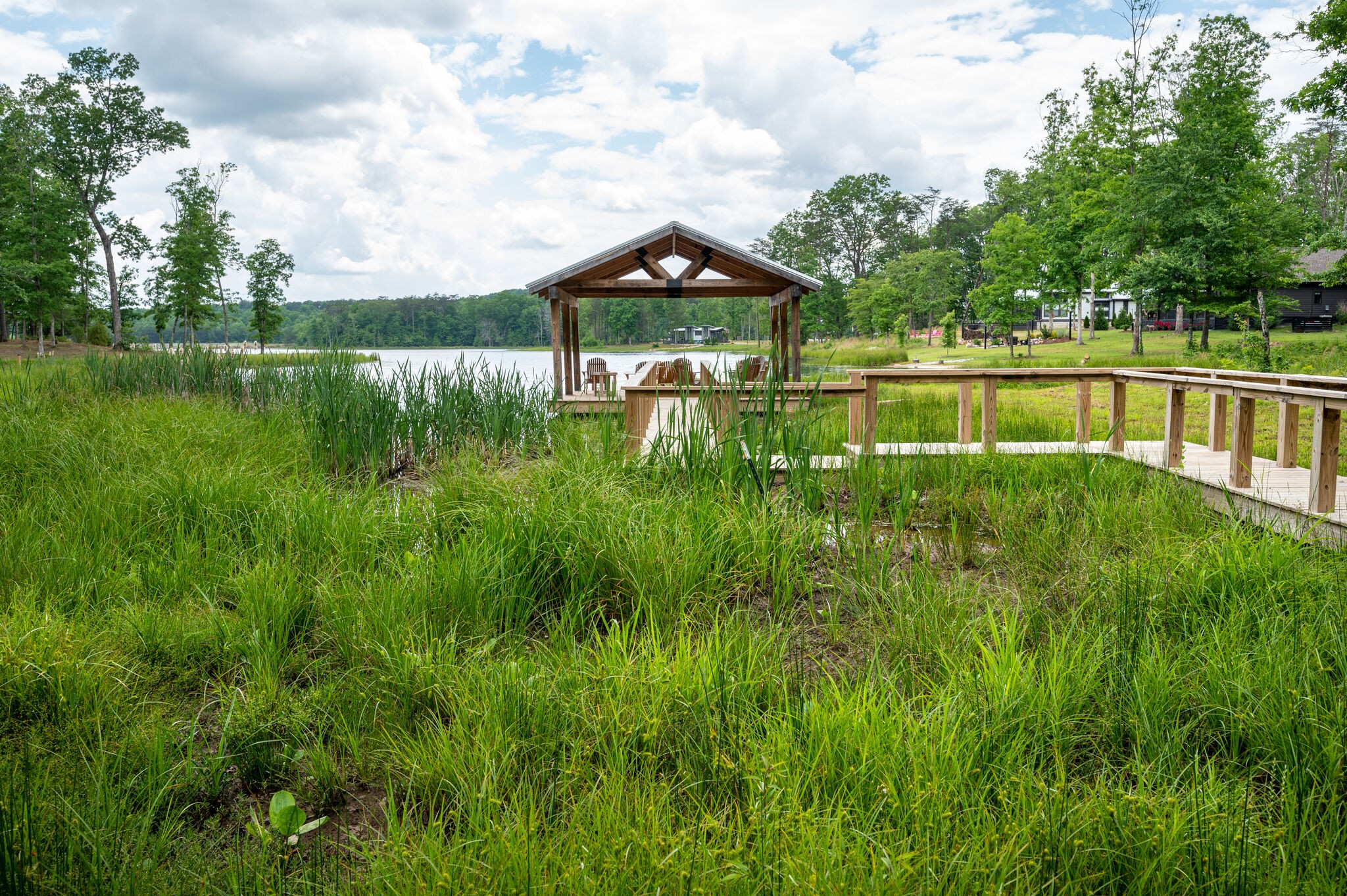 31 Lillypad Ln