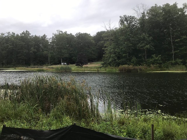 31 Lillypad Ln