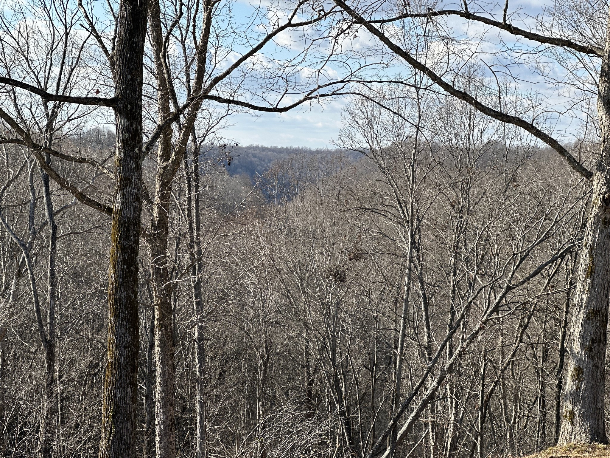 4629 Old Bottom Rd