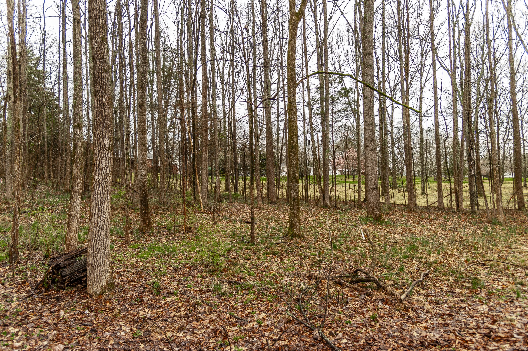 221 Trice Rd