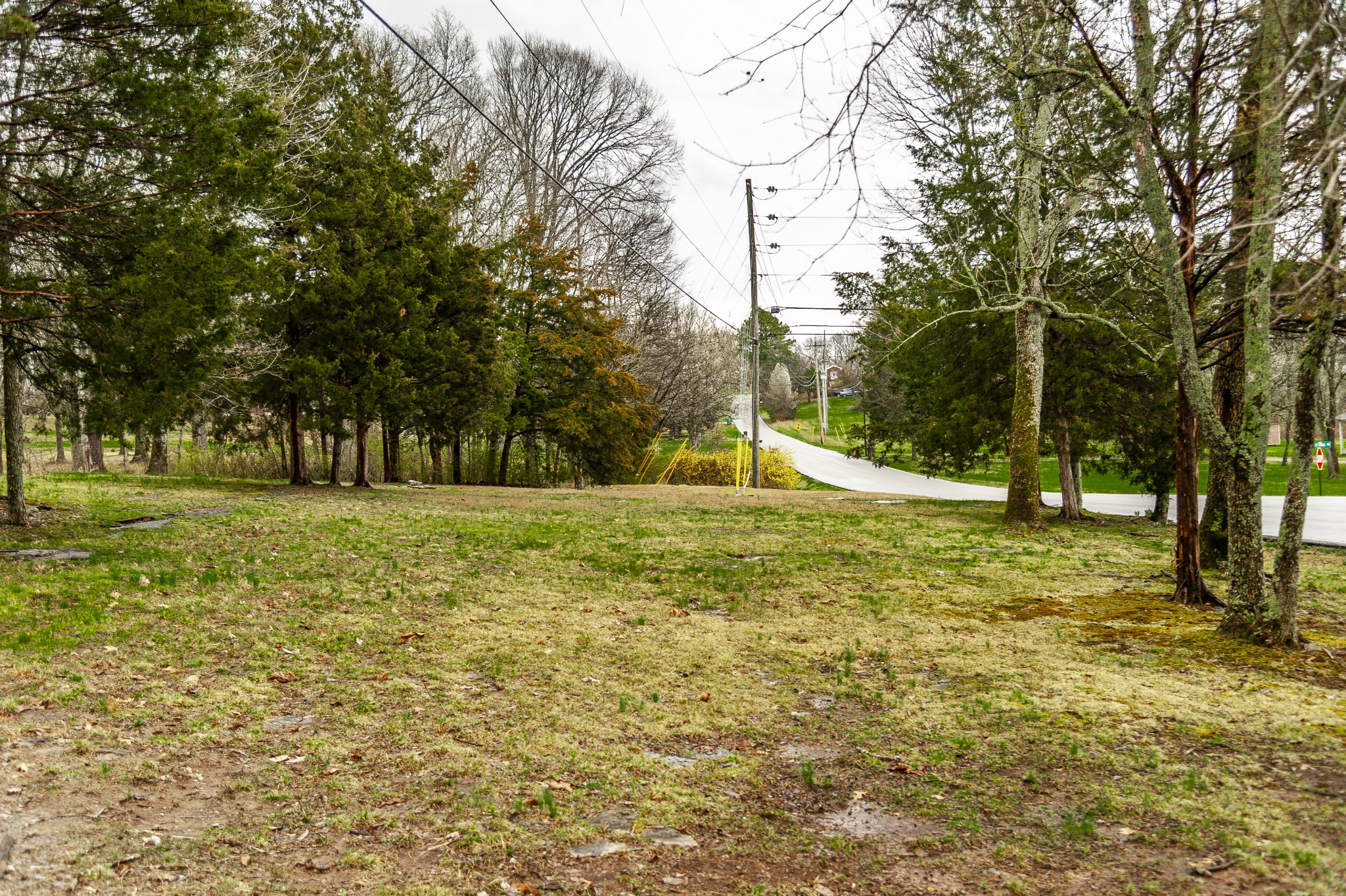 221 Trice Rd
