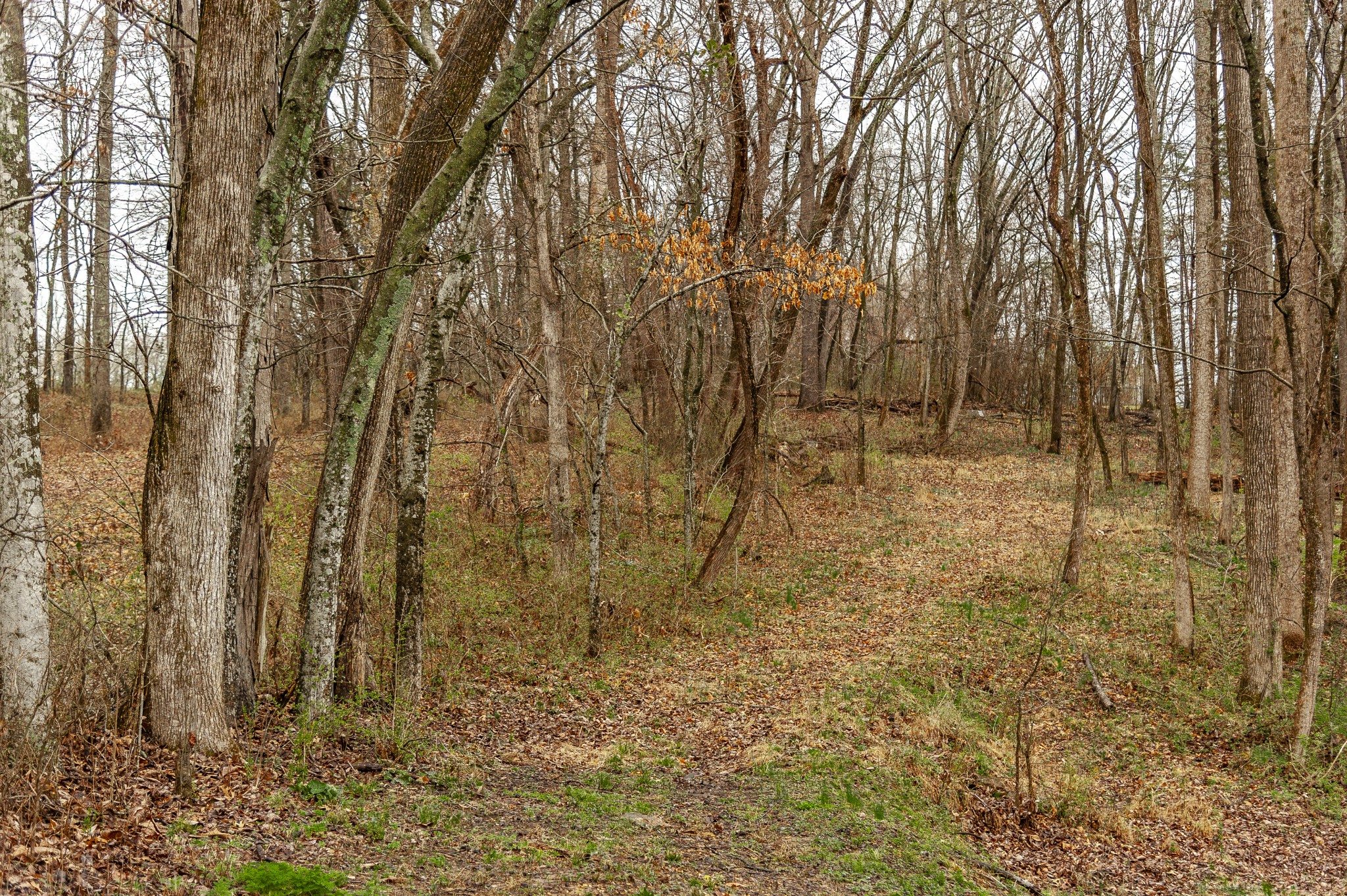 221 Trice Rd