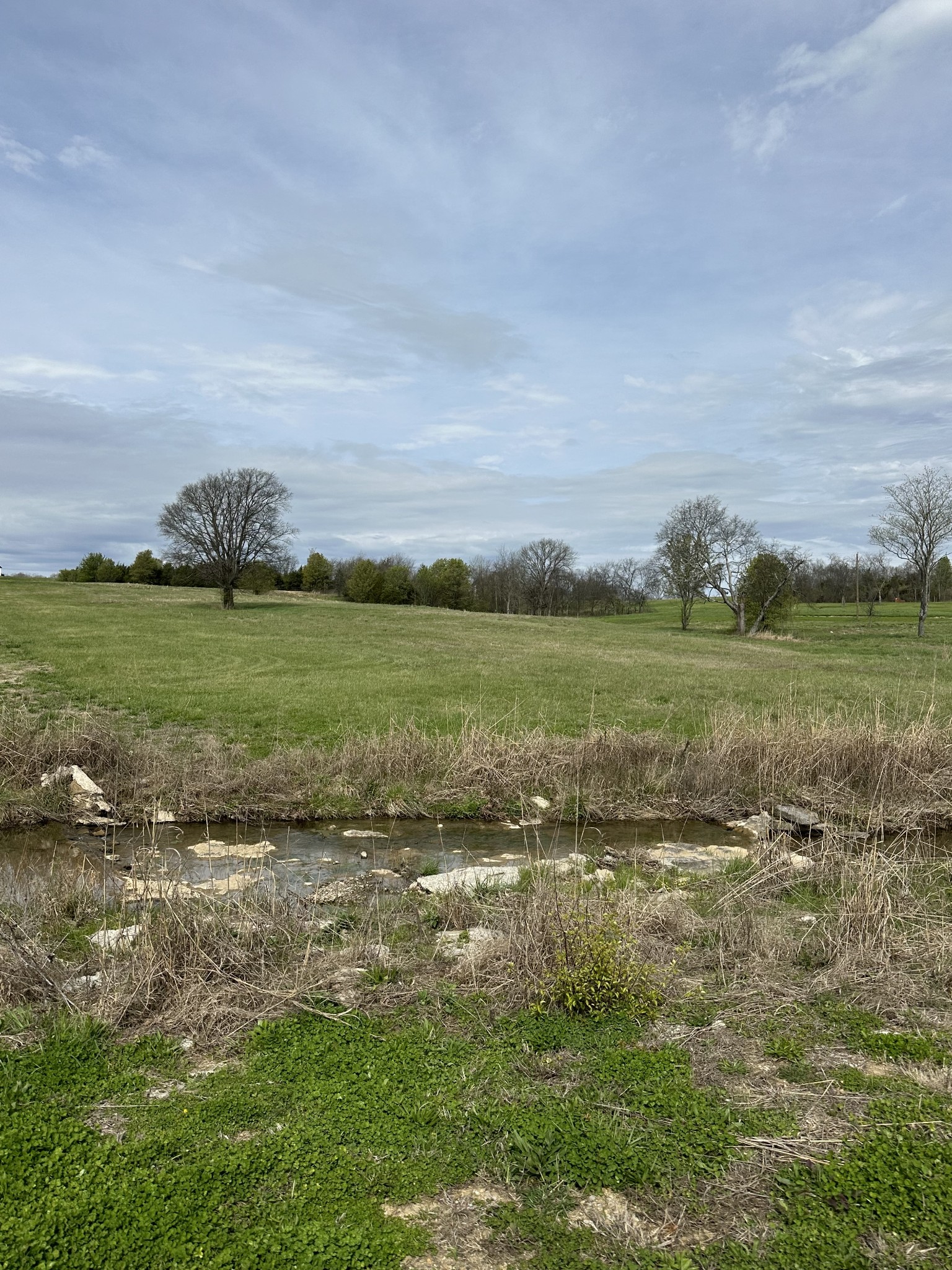 0 Horn Springs Rd