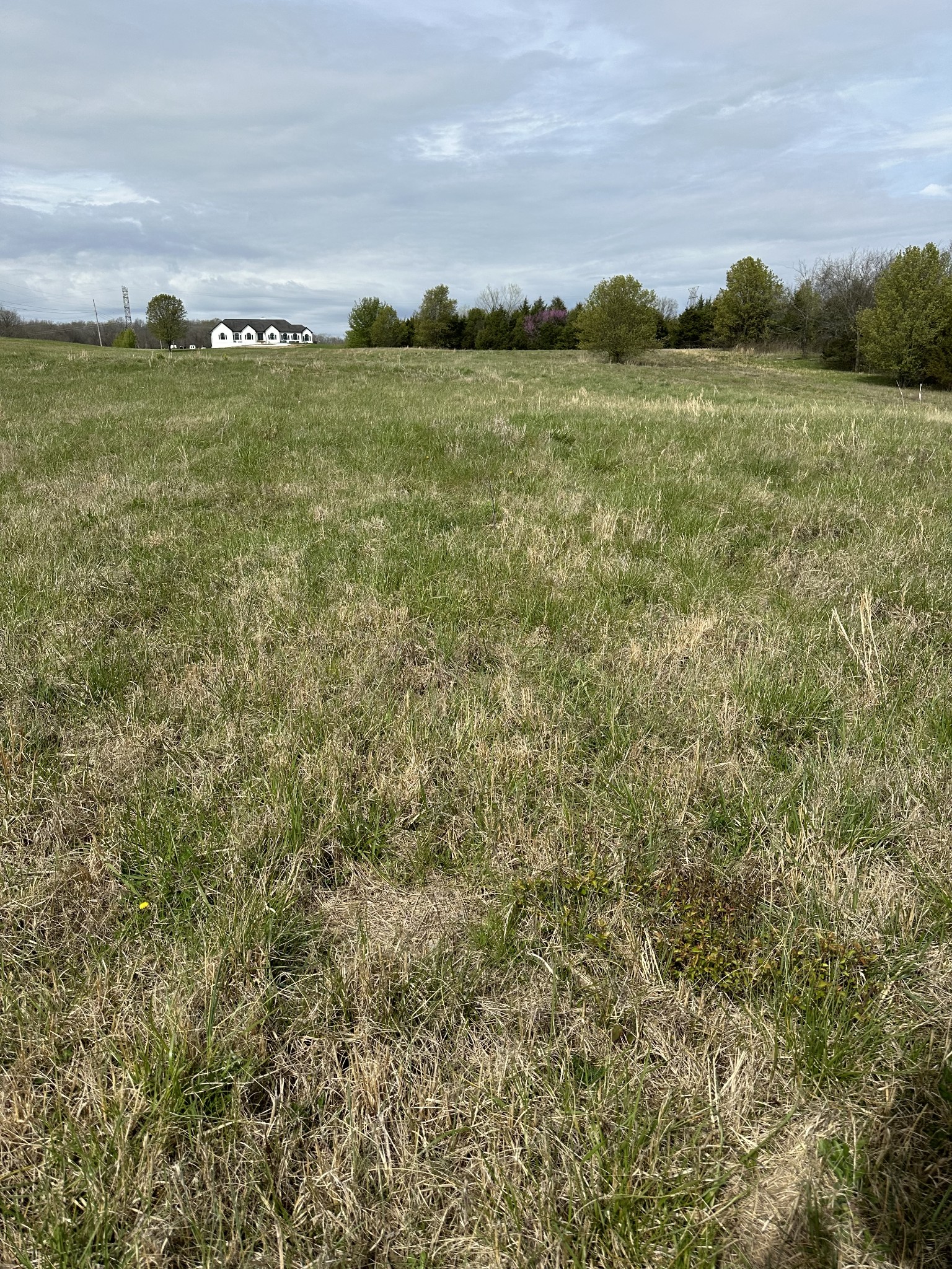 0 Horn Springs Rd
