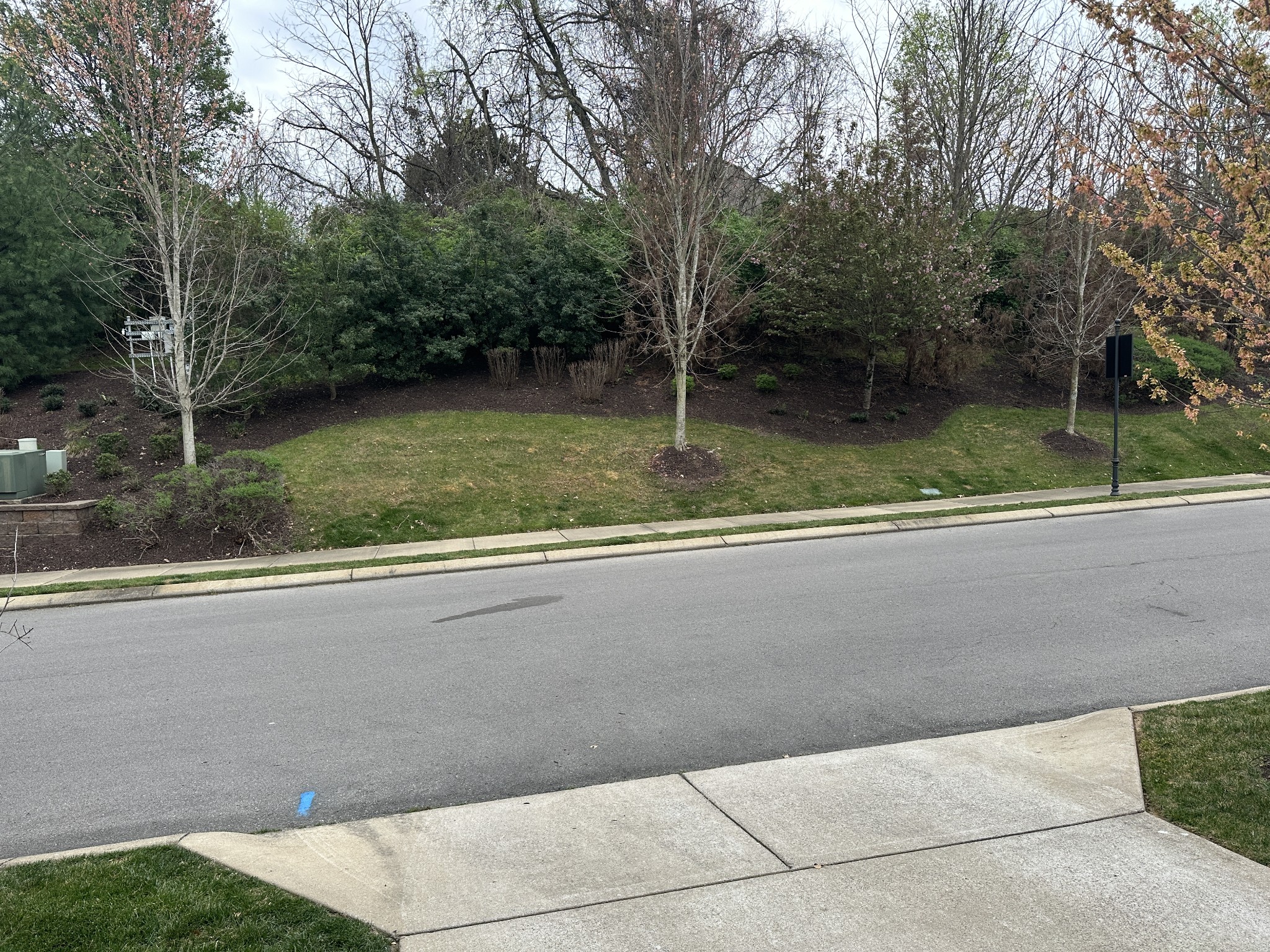 1009 Livingstone Ln