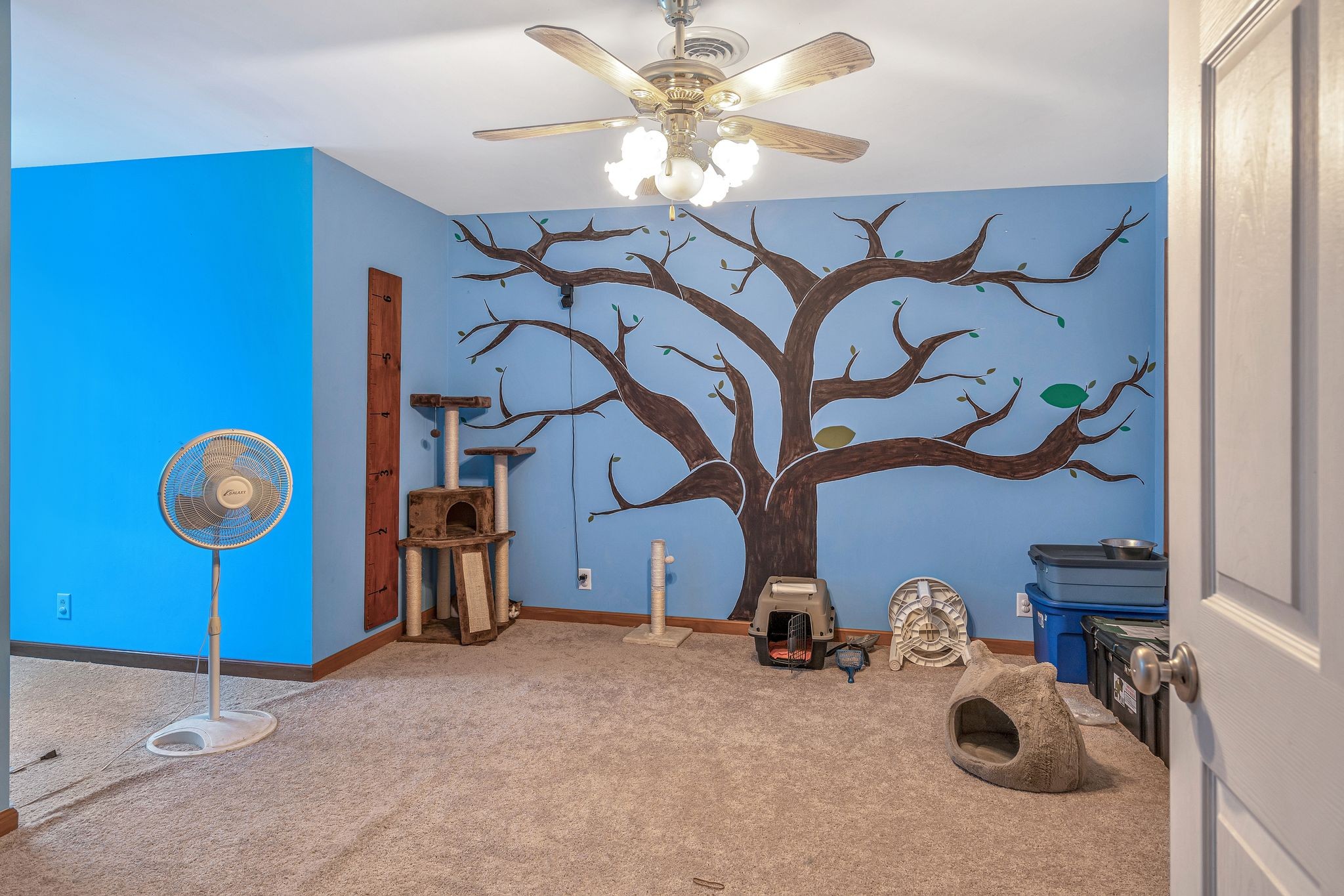 7810 Old Springfield Pike