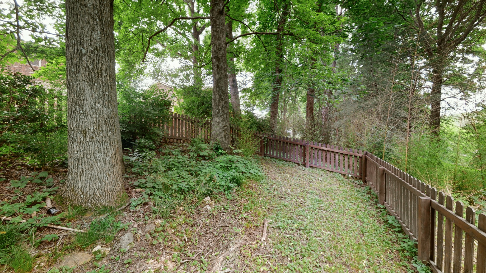 733 Albany Dr