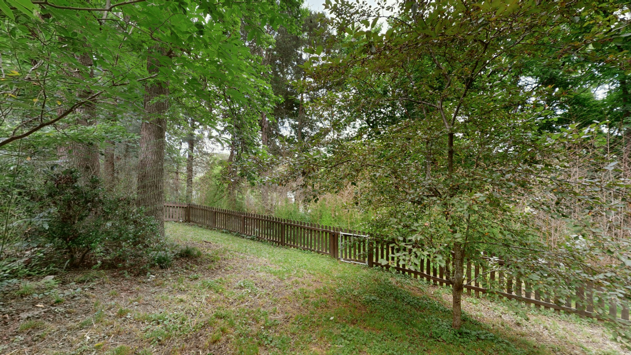 733 Albany Dr