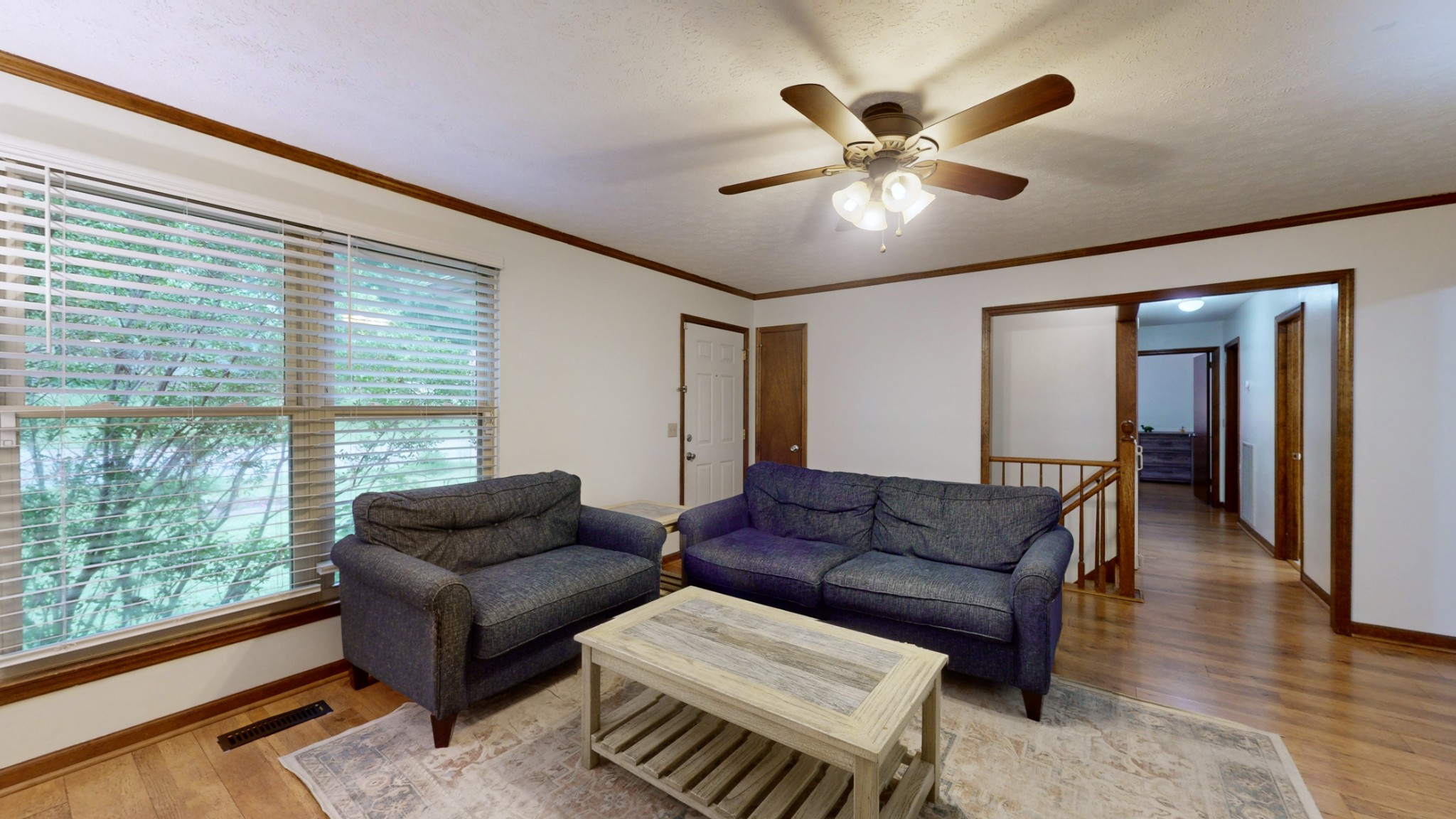 733 Albany Dr