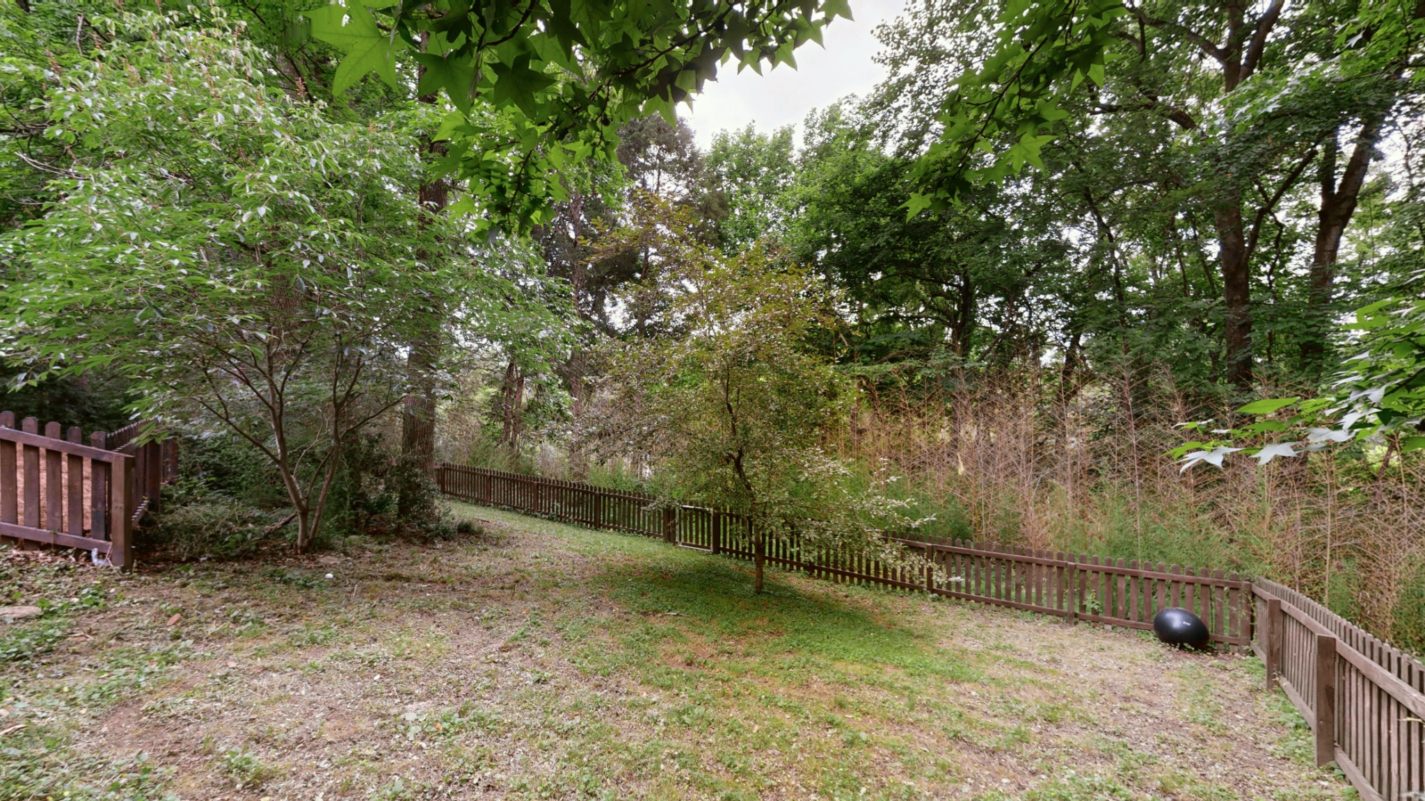 733 Albany Dr