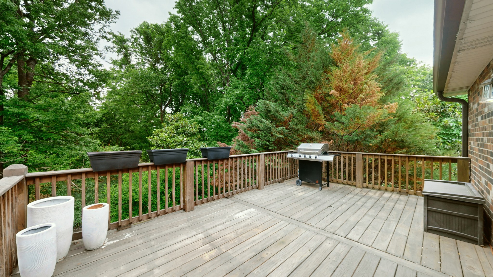 733 Albany Dr