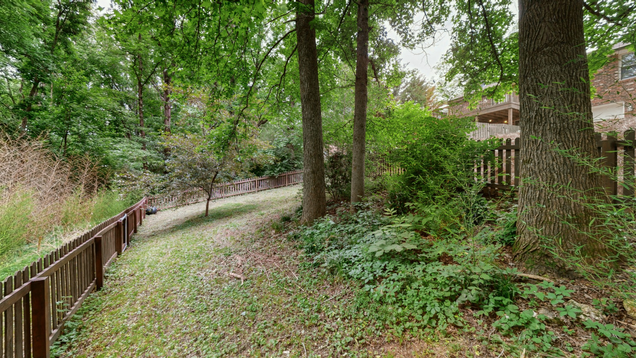 733 Albany Dr