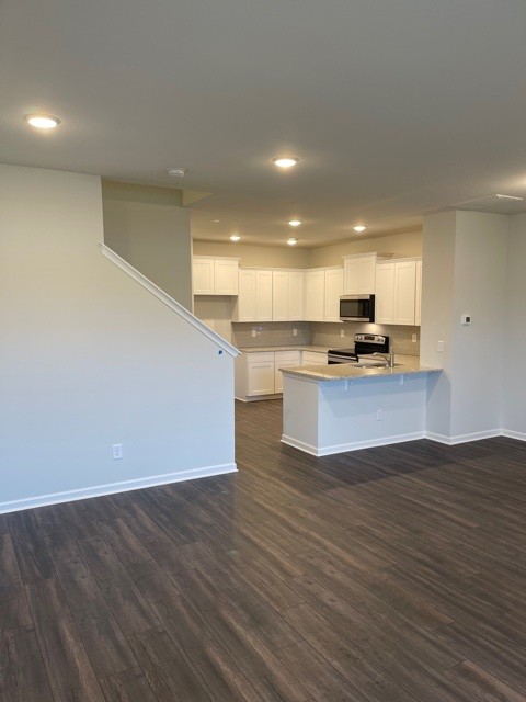 2539 Salem Creek Dr