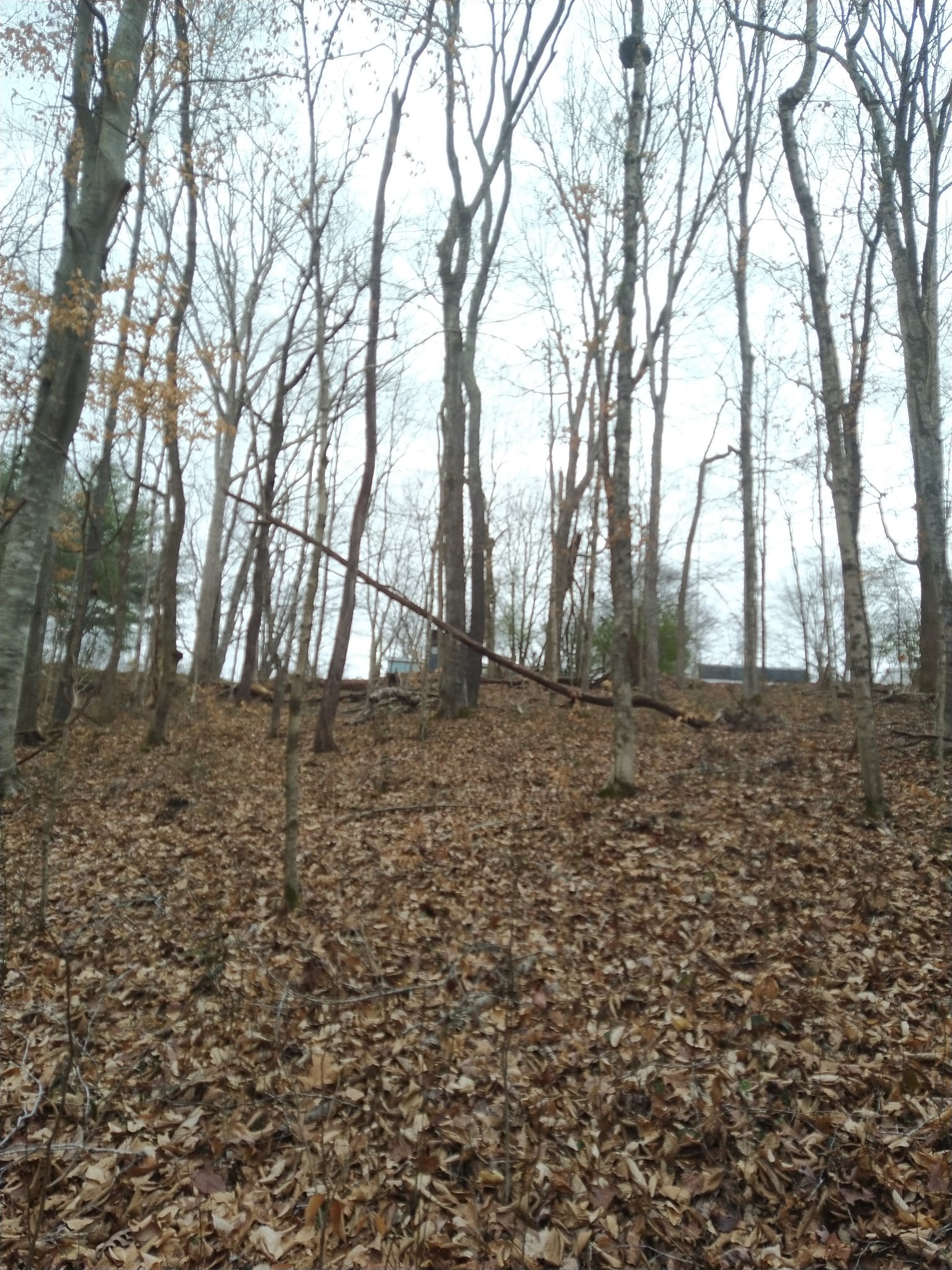 677 Bobbitt Rd