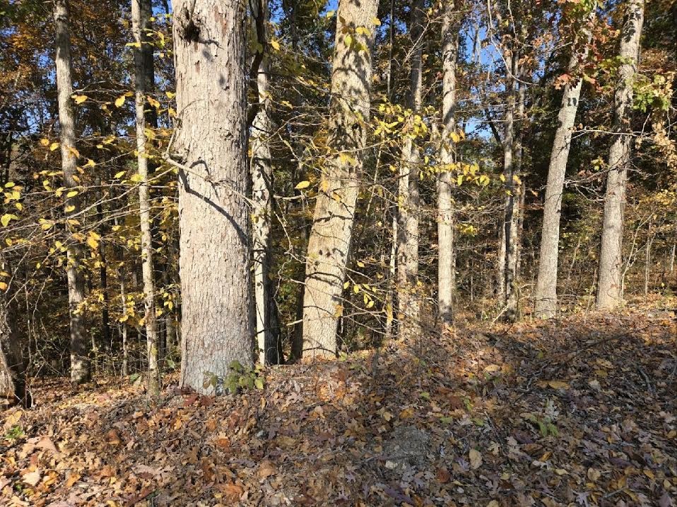 0 Sugar Camp Rd
