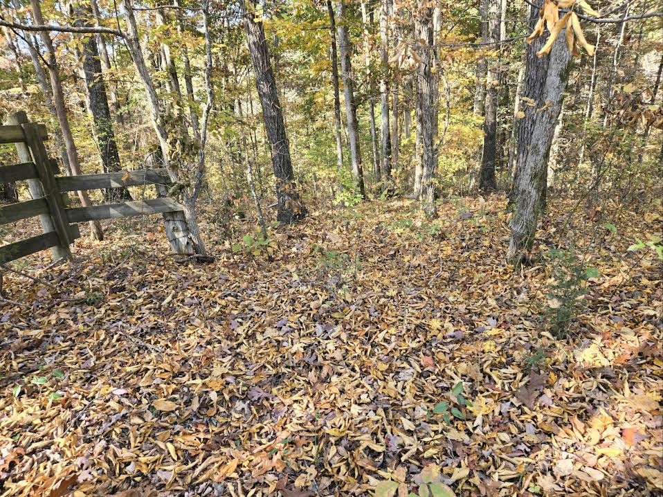 0 Sugar Camp Rd