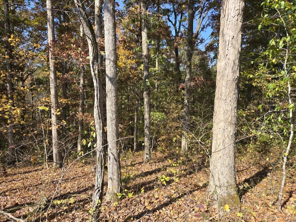 0 Sugar Camp Rd