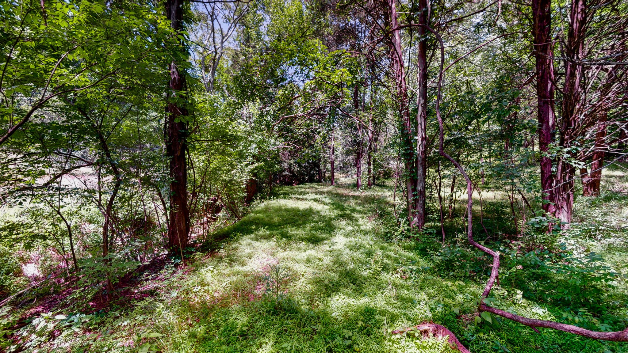 1040 Dobbins Pike
