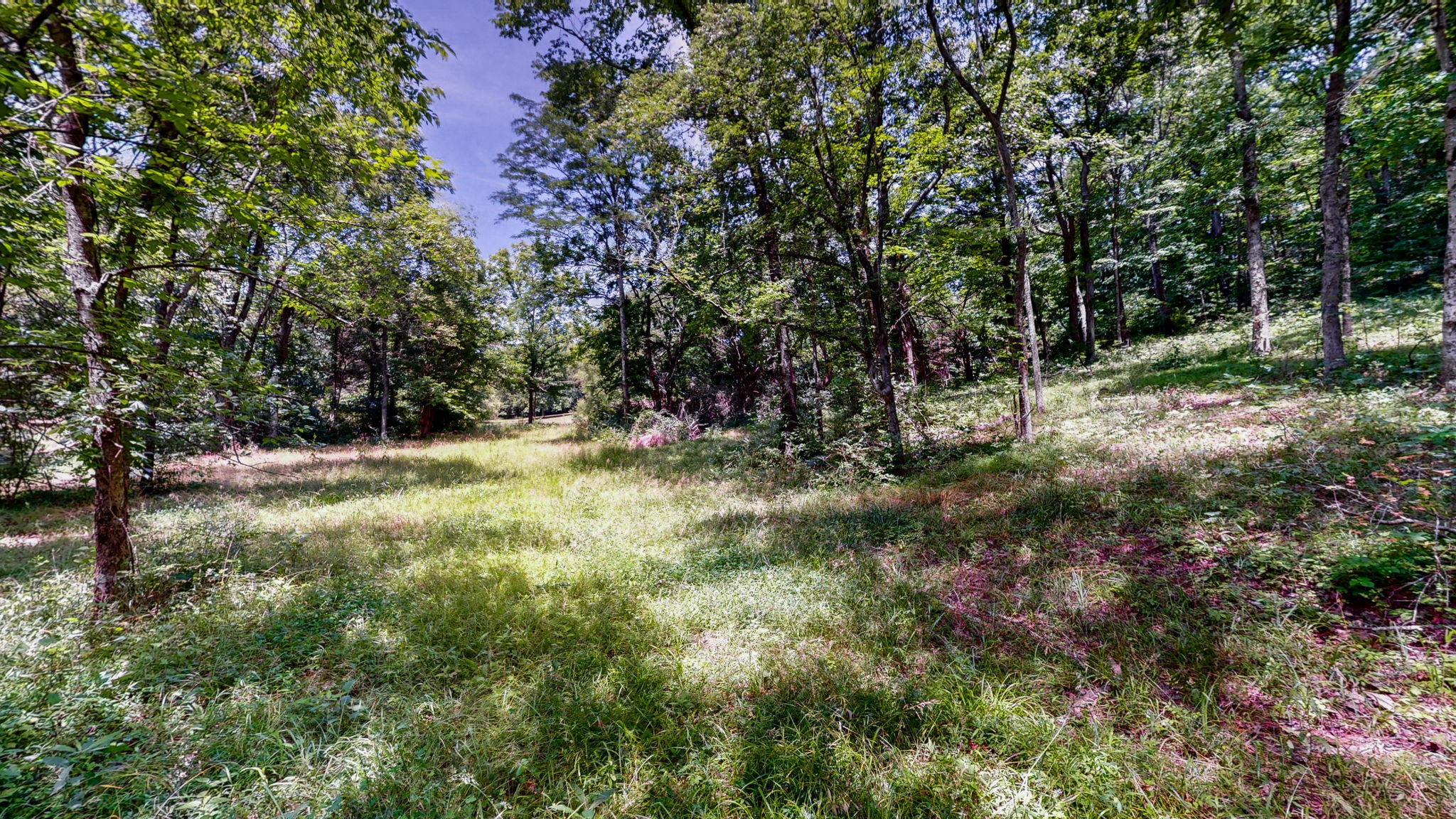 1040 Dobbins Pike