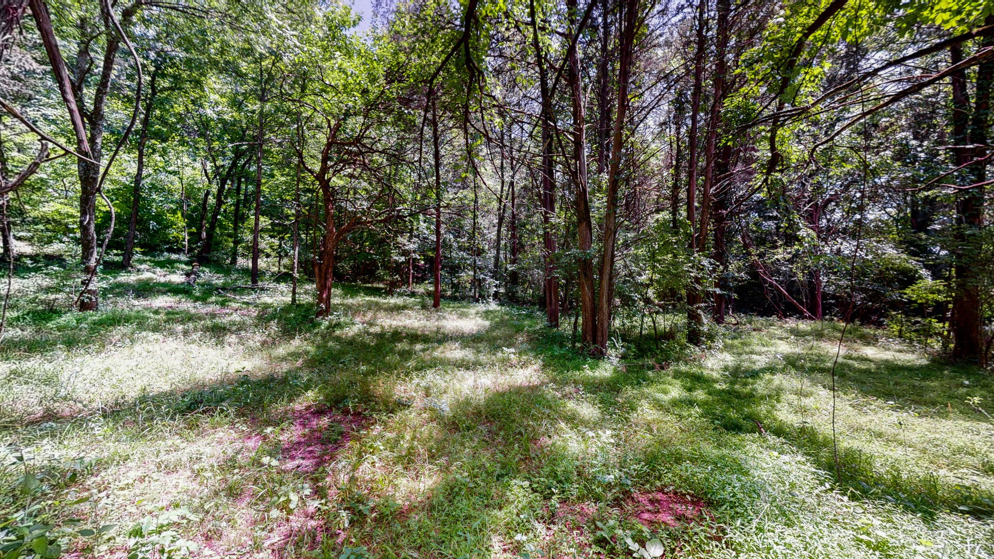 1040 Dobbins Pike