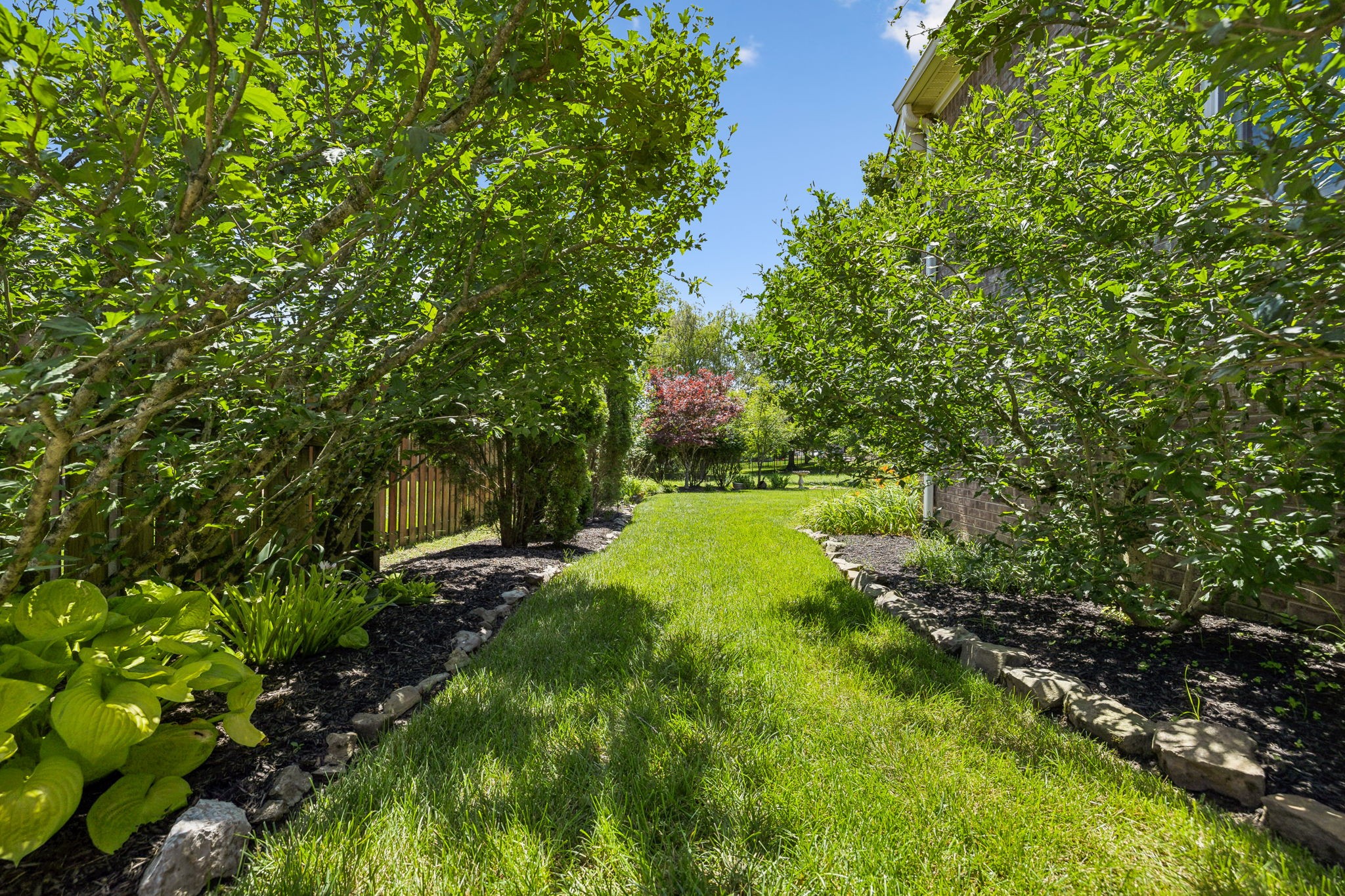 3821 Leona Pass
